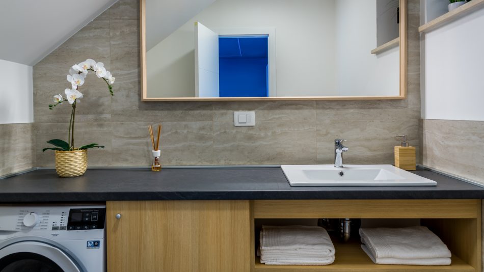 Ground Floor WC with Washing Machine